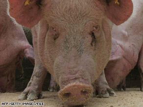 Research on swine odor is one of the projects listed in the "Pig Book," released Tuesday.