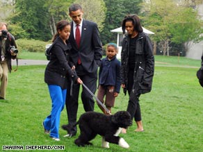 Bo the Portuguese water dog meets the camera. Bo was a gift to the Obama girls from Sen. Ted Kennedy.