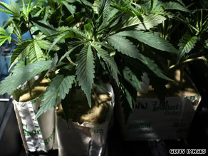 If marijuana were legalized, it could become California's No. 1 cash crop.