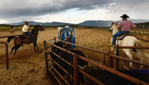 Congress tackles cowboys, sports