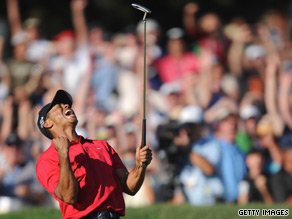 art.tiger.woods08.jpg