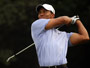 Prowling Tiger shares advantage