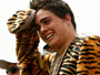 Tigermania in Australia