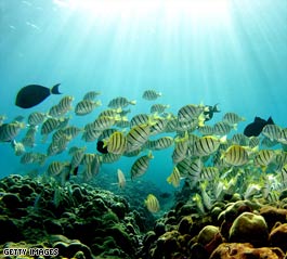 Bush casts wide net for conservation in Pacific