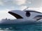 Superyacht whale