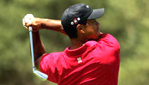 Follow Friday: Tiger tweets