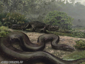 An artist's impression of what Titanboa cerrejonensis would have looked like.