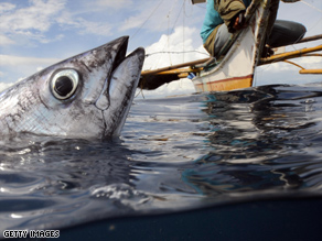 The rich fishing waters around the Philippines face coral decline, a new report warns.