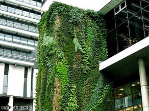 One of Patrick Blanc's green walls on the Hotel du Department in Hauts-de-Seine, France.