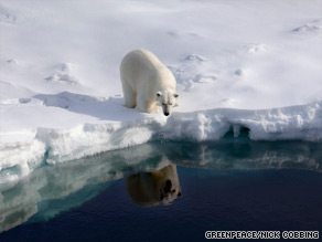 A polar bear checks its reflection in the Robeson channel, near the border between Greenland and Canada.