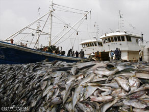 Many fisheries around the world are dangerously close to collapsing.