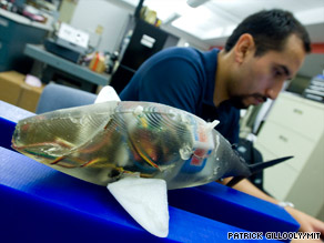 Nice catch! MIT engineer Kamal Youcef-Toumi displays two of his robot fish.