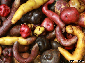 An employee of the Potato International  Center in Lima.