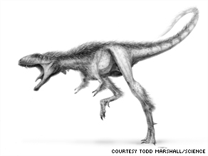 Scientists estimate the Raptorex weighed almost 100 times less than an adult Tyrannosaurus rex.