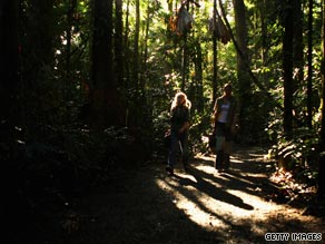 Global climate change treaty, scheduled for completion in December, is designed to protect tropical forests.