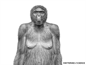 This sketch shows what a 4 million-year-old hominid, nicknamed Ardi, may have looked like.