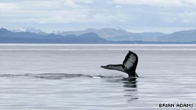 Boating adventures in Alaska's Glacier Bay 