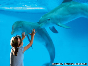 Zoos and aquariums offer kid-friendly and relatively inexpensive ways to commune with creatures.