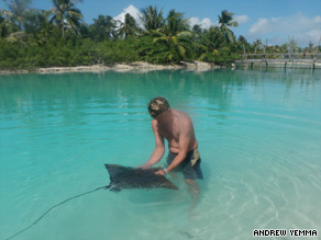Marine biologist Oliver Martin works with a ray at the Four Seasons' inner snorkeling lagoon on Bora Bora.