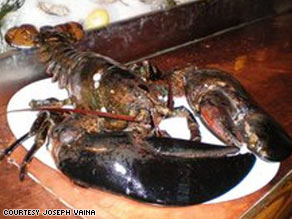 George the lobster was a "sort of mascot" for City Crab and Seafood in New York.