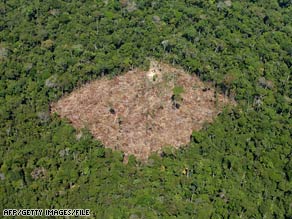 A deforested area appears in a rain forest in Brazil's Para state  in October.