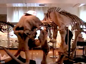 The dryosaurus skeleton is on display at the I.M. Chait Gallery on Saturday.