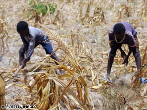 Two young boys plow their dry cornfield in Kwale, Kenya which has been blighted by drought.