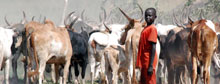 Violence surging in Sudan