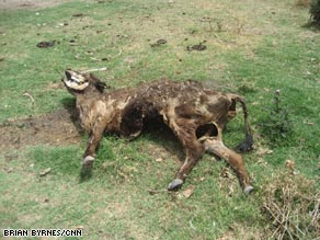 Argentine farmers profited in years past from selling beef to the world, but some now struggle to feed their cattle.