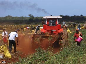 Cuba experienced a reordering of its food production in the early 1990's. A boom for organic foods, but problems persist.