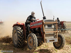 Afghan police destroy poppy fields in Helmand province.