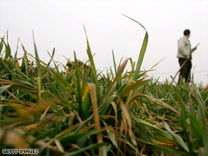 Drought has hit major wheat-growing provinces in northern China since early January.