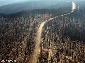 A dirt track runs through the burnt out forest in Victoria state.