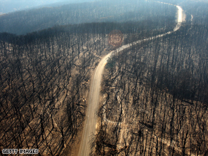 A dirt track runs through the burnt out forest in the Kinglake region of Victoria state.