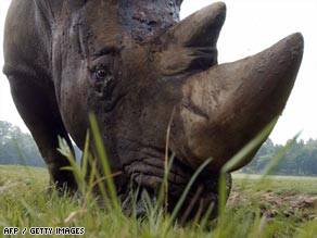 The "Save the Rhino" charity uses funds to promote the protection of communities and habitat where rhinos live.