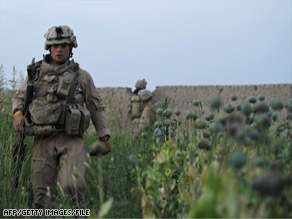 A U.S. Marine walks in a poppy field in southern Helmand Province, Afghanistan, last year.