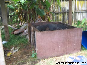 Auckland SPCA officers found the charred body of a Staffordshire terrier cooking in this barbecue pit.