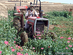 Afghan police officers use tractors to destroy poppy crops in Helmand province earlier this year.