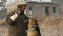 Sniffing out bombs in Afghanistan