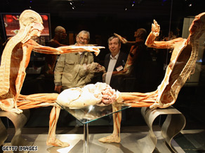 One of the 200 corpses on display at the Von Hagens exhibition in central Berlin.