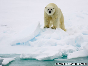 One of team checks the thickness of the ice during the expedition.