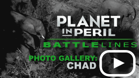 Check out the amazing photographs from the Planet in Peril team’s trip to Chad