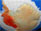 Eco Solutions: Global plans
