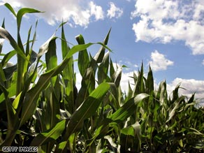 Some ethanol producers are unhappy with California's proposed low carbon fuel standards.