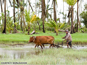 Because of Cyclone Nargis, a farmer in Myanmar is plowing his field weeks after the regular planting season. Natural disasters can exponentially increase the impact of the food and economic crises on the poor.
