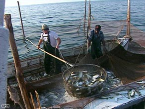 Fish and mercury
