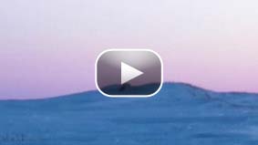 Exclusive video of a polar bear mom busting out of its ice-encased den after winter hibernation. The cub tags along. Courtesy: Polar Bears International.