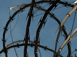 Inside U.S. War Prisons