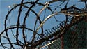The torture investigation