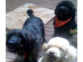 LB, Ava, and Doodle Parry